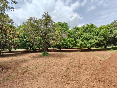 Image of 39300 Sq.ft Residential Plot / Land for sale in Kothapalle, Hyderabad for Rs. 60900000
