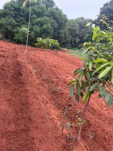 Alagar Kovil Plot View 3