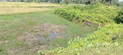 arapanch Plot View 2