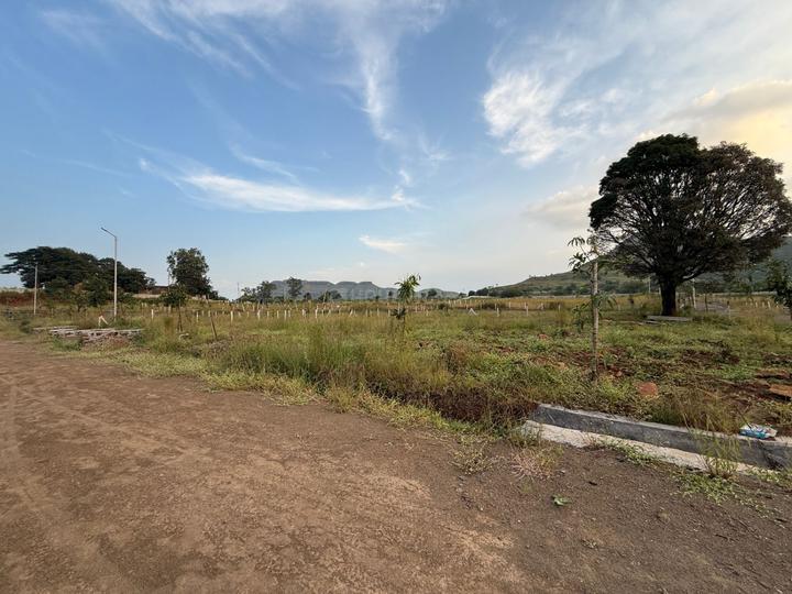 Grace Sunshine Farm Main Image 1