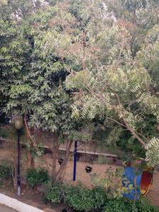 Balcony Image of 2500 Sq.ft 4 BHK Villa for sale in Bhicholi Mardana Indore for Rs. 13000000