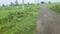 Mahajpura Plot View 2