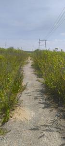 Image of 906 Sq.ft Residential Plot / Land for sale in Santhi Nagar, Hassan for Rs. 1450000