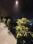 Balcony Image of Sukhvasa Luxury PG in Sector 48, Gurgaon