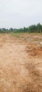 Image of 1350 Sq.ft Residential Plot / Land for sale in Bannerughatta, Bengaluru for Rs. 4455000