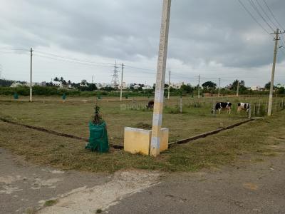 Image of 1163 Sq.ft Residential Plot / Land for sale in Maratikyatana Halli, Mysore for Rs. 3600000