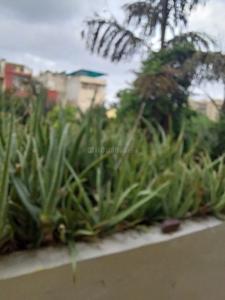 Balcony Image of 1800 Sq.ft 4 BHK Apartment / Flat for sale in Neelkanth Apartment, Sector 13 Rohini New Delhi for Rs. 42500000