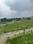 Bajrang Vatika Main Image 1
