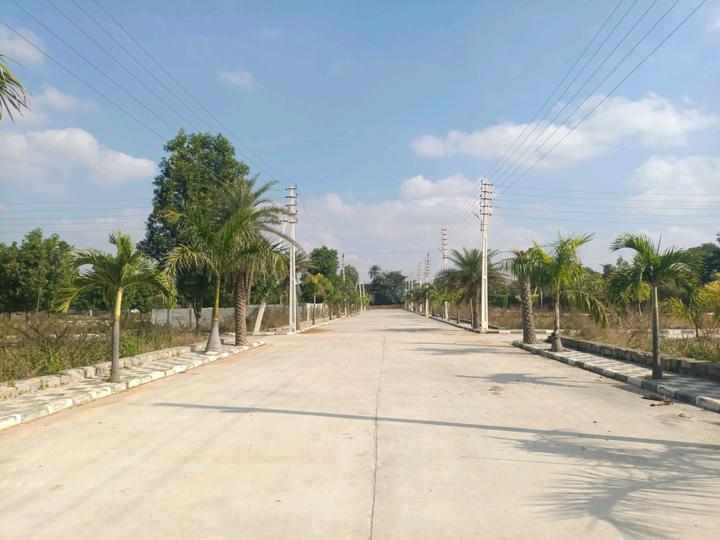 Golden City Main Image 1