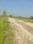 Metroplex City Internal Roads 1