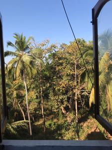 Balcony Image of 810 Sq.ft 2 BHK Apartment / Flat for sale in  Tropical Dreams, Marna Siolim Goa for Rs. 6200000