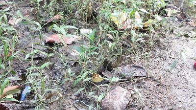 Image of 1082 Sq.ft Residential Plot / Land for sale in Uluberia, Howrah for Rs. 700000