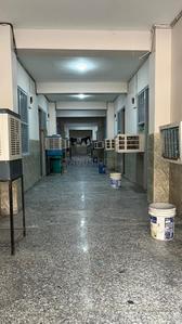 Image of MT Living in Sector 5, Noida