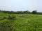 Sonargaon 2 Main Image 1