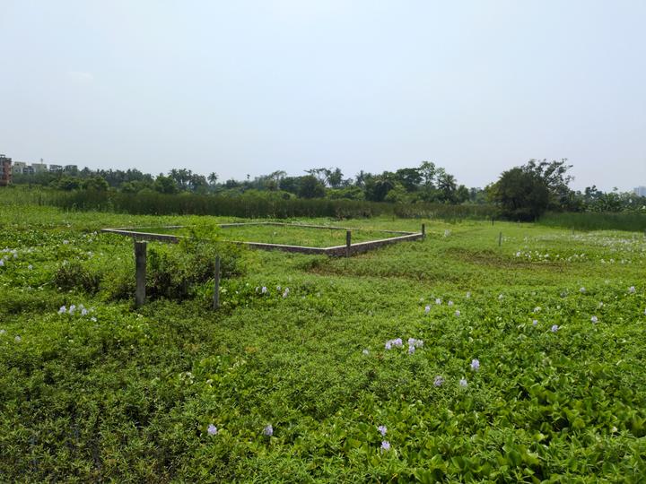 Sonargaon 2 Main Image 1