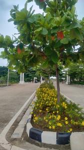 Image of 1447 Sq.ft 3 BHK Independent House for sale in Bhilai Marshalling Yard, Charoda for Rs. 3991000