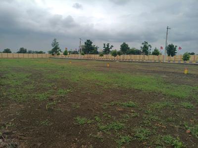Hampton Palm Plot View 2