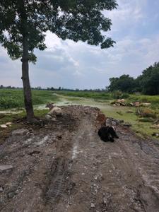 Wander Valley Internal Roads 1