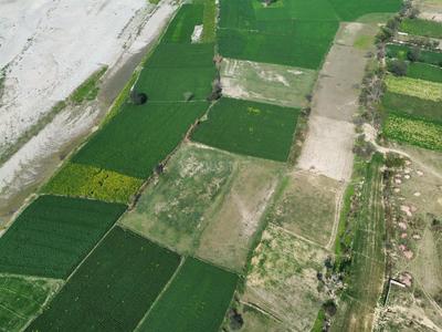 Image of 225000 Sq.ft Residential Plot / Land for sale in Vrindaban Bangar, Vrindavan for Rs. 45000000