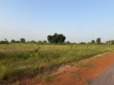 Image of 8000 Sq.ft Residential Plot / Land for sale in Kathadih, Raipur for Rs. 4600000