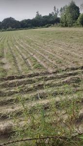 Prime City location maunda Plot View 1