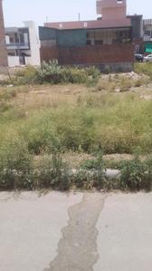 Image of 271 Sq.ft Residential Plot / Land for sale in Hisar Tehsil, Hisar for Rs. 36800000