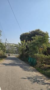 Sector 6 Plot View 2