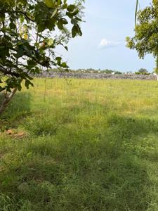 Image of 12000 Sq.ft Residential Plot / Land for sale in Injambakkam, Chennai for Rs. 275000000