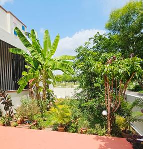 Balcony Image of 2005 Sq.ft 2 BHK Independent House for sale in RSD Nature Mahal, Kumbalgodu Bengaluru for Rs. 13500000