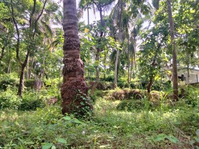 Image of 13068 Sq.ft Residential Plot / Land for sale in Perambra, Kozhikode for Rs. 3000000