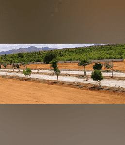 Image of 1200 Sq.ft Residential Plot / Land for sale in Kolar Town, Kolar for Rs. 2400000