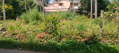 Image of 4573 Sq.ft Residential Plot / Land for sale in Kuttanellur, Thrissur for Rs. 11025000