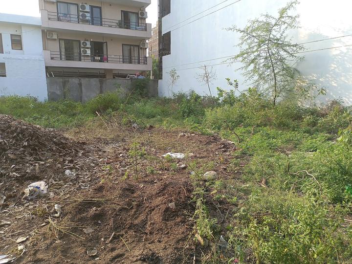 Block C, Sushant Lok Phase 1 Main Image 1