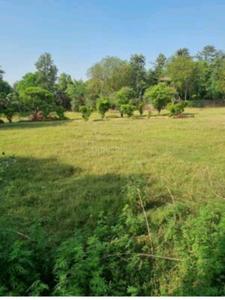 Image of 700 Sq.ft Residential Plot / Land for sale in Vasant Kunj, New Delhi for Rs. 155000000