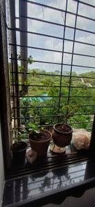 Balcony Image of 850 Sq.ft 2.5 BHK Apartment / Flat for sale in Kalwa Thane for Rs. 14500000