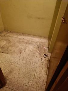 Bedroom Image of 1250 Sq.ft 3 BHK Duplex for sale in Rachana Vihar, Narendra Nagar Nagpur for Rs. 8000000