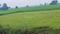 Naubatpur Main Image 1