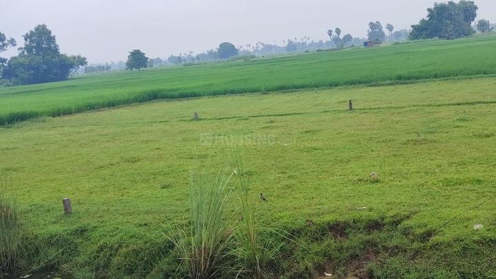 Naubatpur Main Image 1