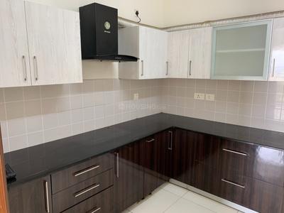 Kitchen Image of 1510 Sq.ft 3 BHK Apartment / Flat for rent in Purva Westend Phase 1, Hongasandra Bengaluru for Rs. 66000