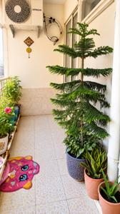 Balcony Image of 965 Sq.ft 2 BHK Apartment / Flat for sale in Trehan Royal Court, Fatehpura Neemrana for Rs. 2350000