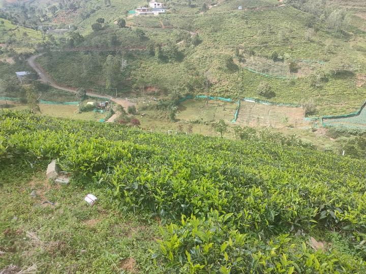 Image of 981 Sq.ft Residential Plot / Land for sale in Coonoor, Nilgiris for Rs. 1301000