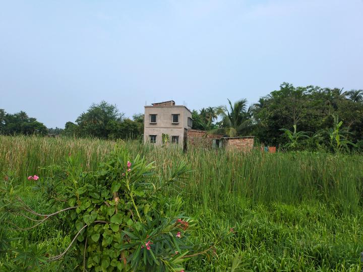 Nest Valley Main Image 1