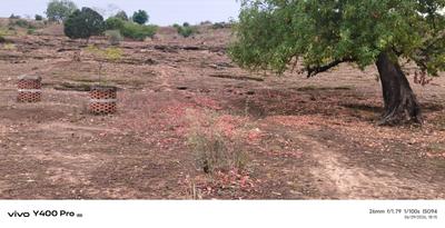 Image of 2700 Sq.ft 6 BHK Builder Floor for sale in Baraudha, Mirzapur for Rs. 5000000
