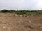 Castilo dream city Plot View 1