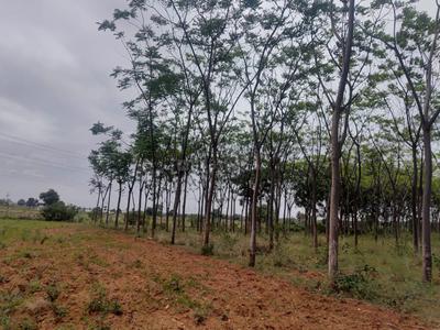 Image of 12015 Sq.ft Residential Plot / Land for sale in Amangal, Ranga Reddy for Rs. 6141000