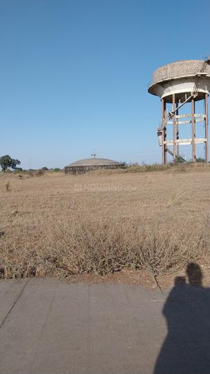 Rangwasa Main Image 1