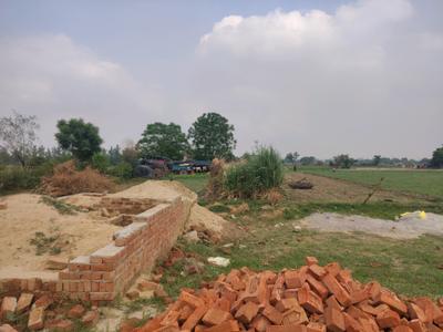 Kulesara Plot View 2