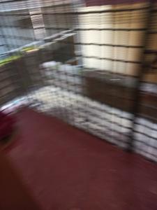 Balcony Image of 1200 Sq.ft 2 BHK Independent House for rent in Bejai Mangalore for Rs. 15000