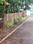 Kakkanad Plot View 2