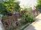 Vikalp Khand Main Image 1
